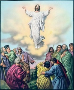  Ascension of the Lord 